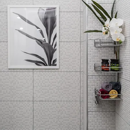 Apartment Syntagma Spotlight